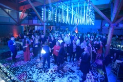 FIESTA_00020