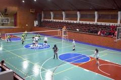 DSC0041-copia