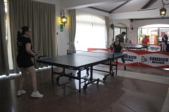 IMG_3532-copia