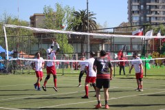 IMG_8366-copia