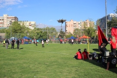 IMG_8568